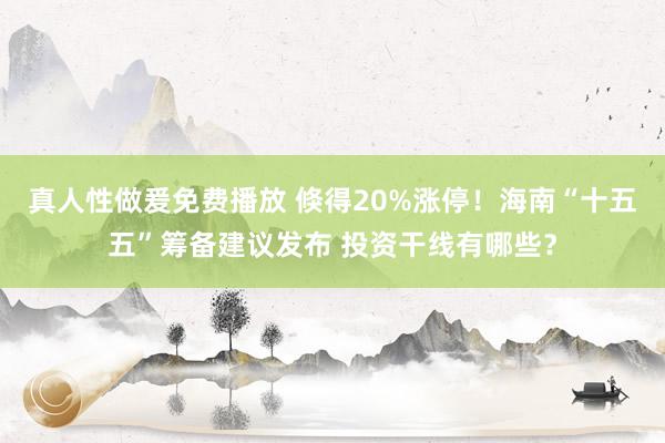 真人性做爰免费播放 倏得20%涨停！海南“十五五”筹备建议发布 投资干线有哪些？